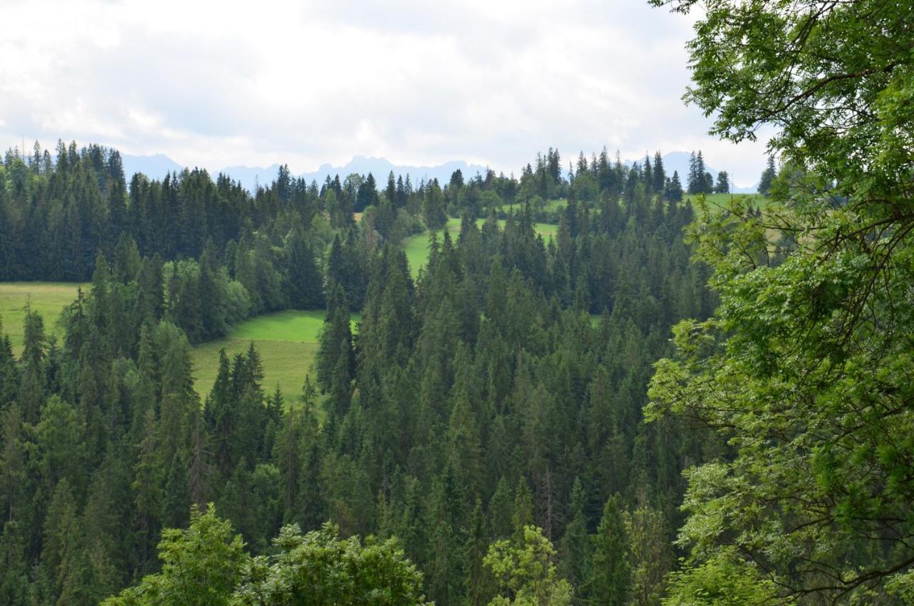 U Lassakow Poronin Buitenkant foto