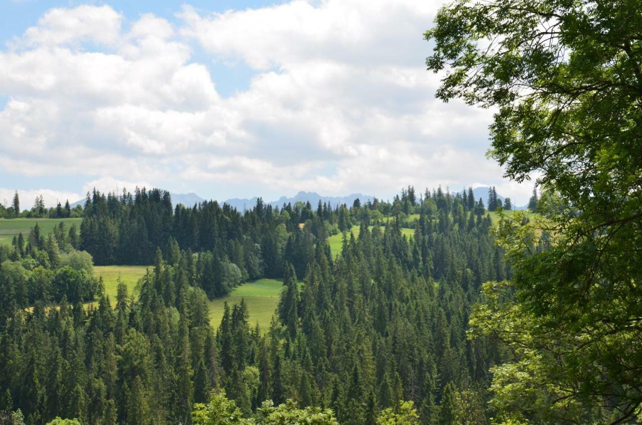 U Lassakow Poronin Buitenkant foto